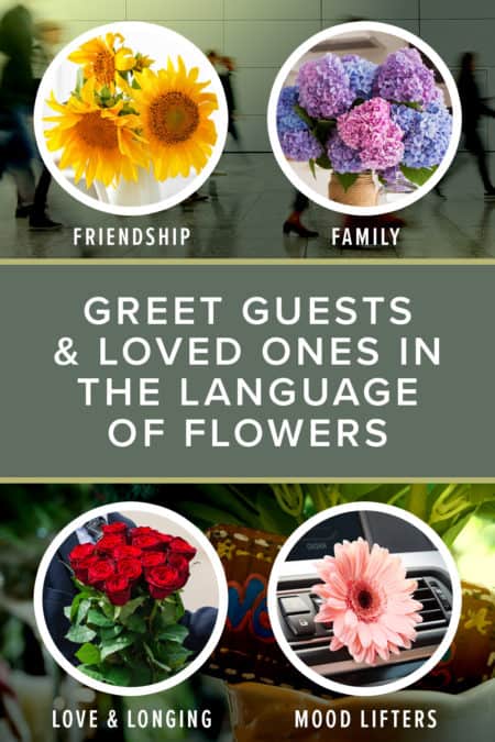 Welcome Images With Flowers