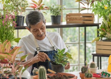 Elderly Asian man working with plants